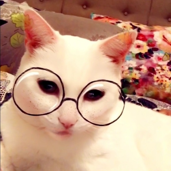 bellarules